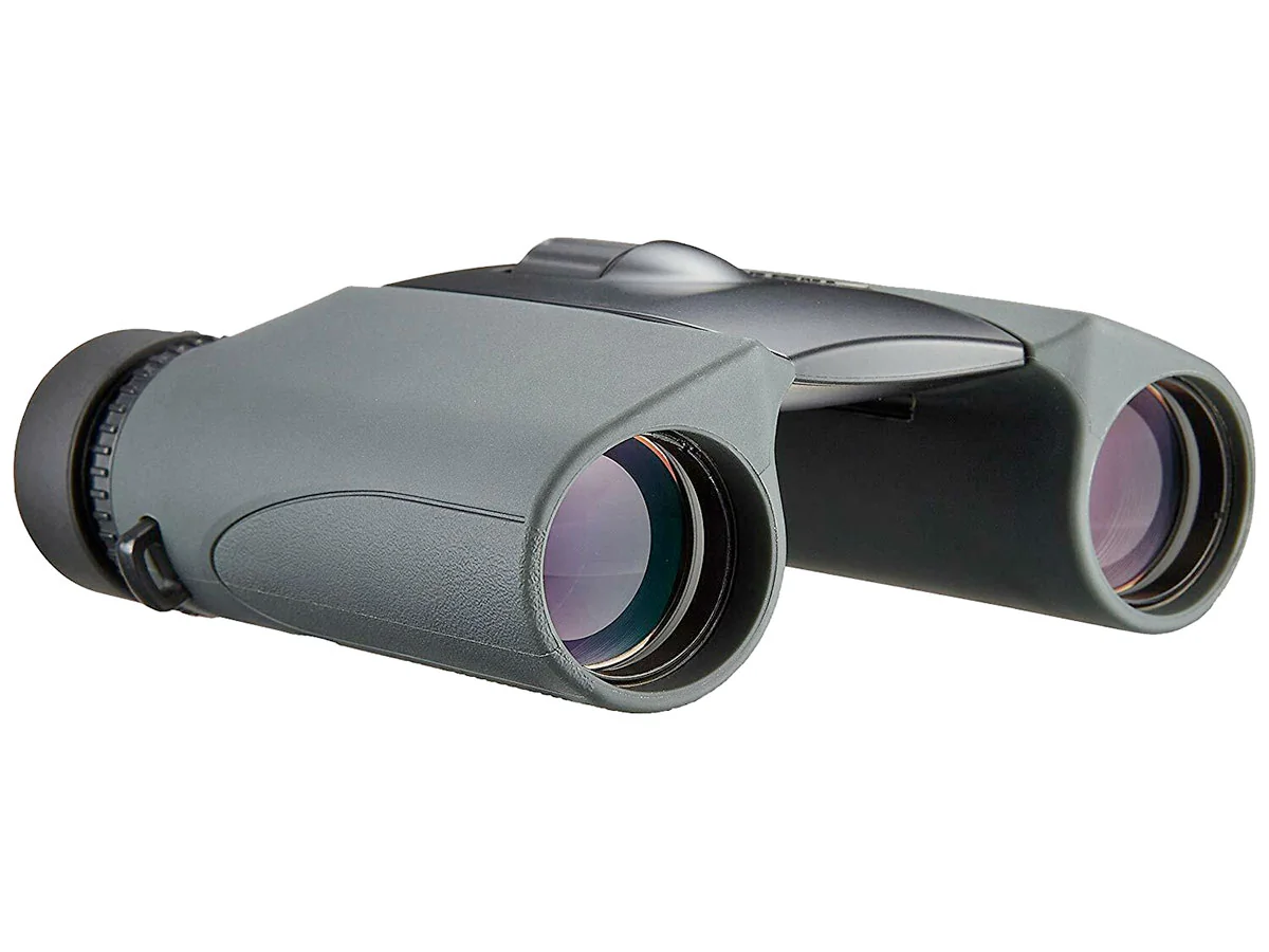 Бинокль Nikon Sportstar EX 10x25 чёрный