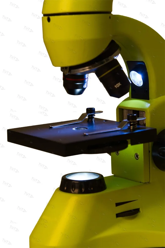 Микроскоп Levenhuk Rainbow 50L PLUS (Лайм)