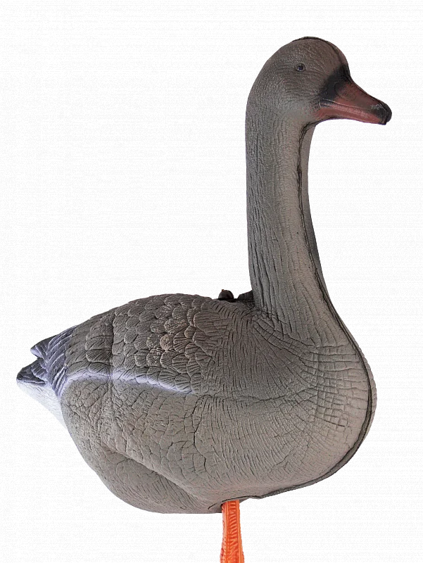 Чучело гуся гуменника складное на опоре