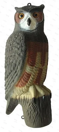 Чучело филина