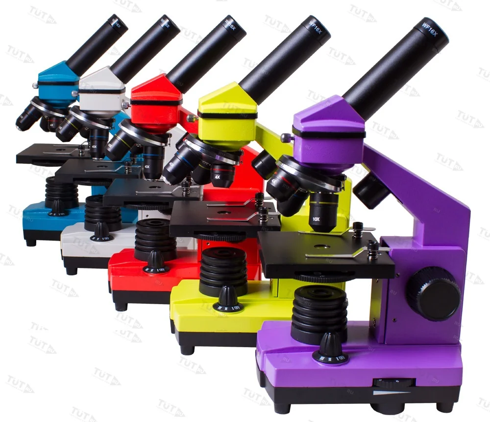 Микроскоп Levenhuk Rainbow 2L PLUS (Аметист)