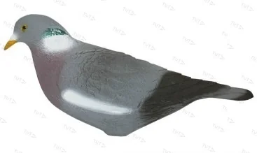 Голубь Sport Plast 26-00 R отдыхающий