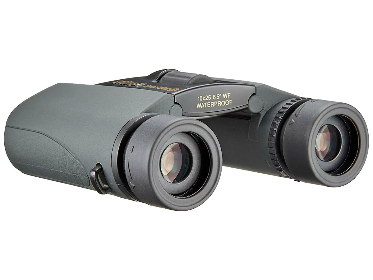 Бинокль Nikon Sportstar EX 10x25 чёрный