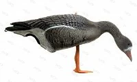 Чучело гуся белолобого на опоре, складн., пластик, комплект - 8корм.2сторож.2отдых., 970гр.