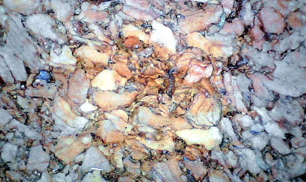 Микроскоп цифровой Levenhuk DTX 720 WiFi