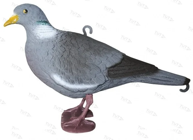 Голубь Sport Plast 26-00 U активный