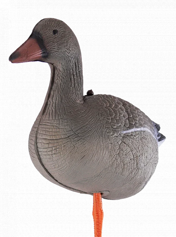 Чучело гуся гуменника складное на опоре