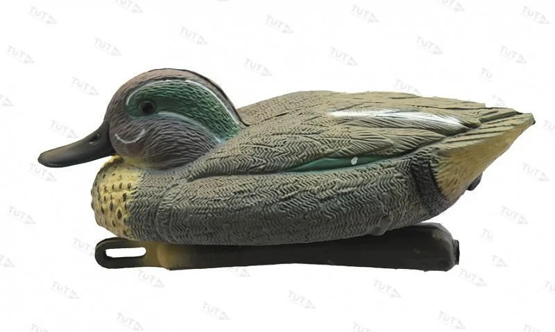 Чучело чирка плавающего (селезень)
