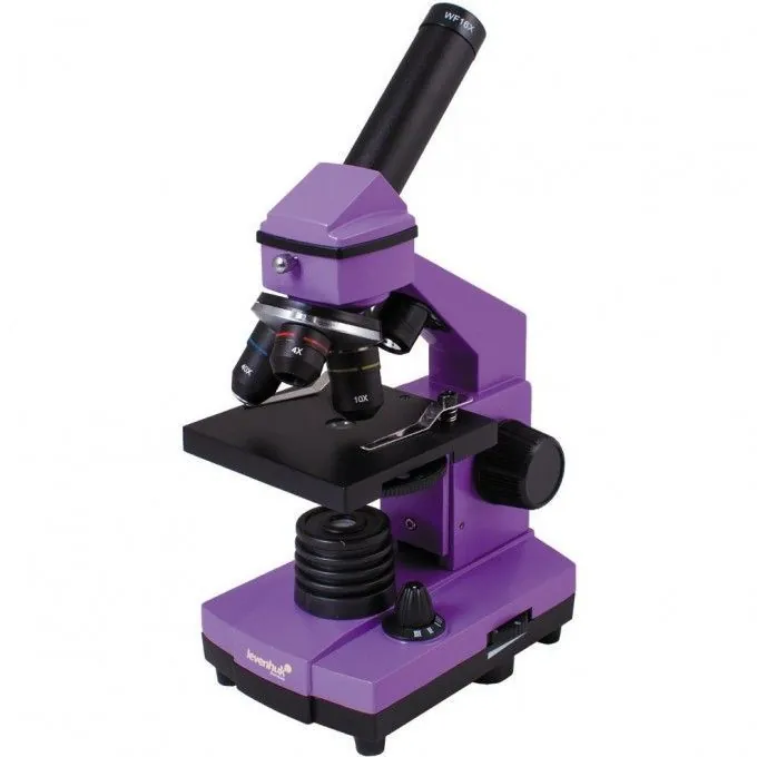 Микроскоп Levenhuk Rainbow 2L PLUS (Аметист)