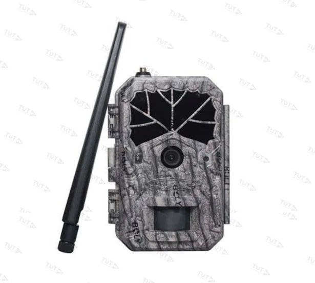 Фотоловушка Boly Guard BG636-48M