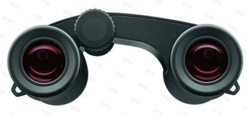 Бинокль Carl Zeiss Victory Pocket 10x25 чёрный