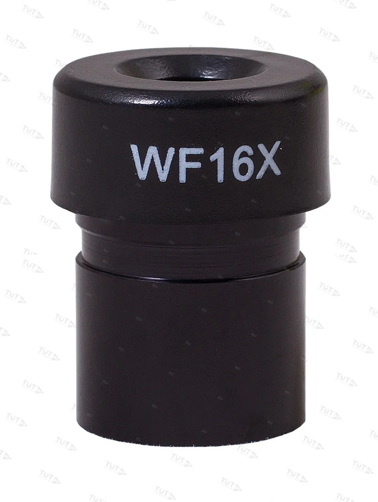 Микроскоп Levenhuk Rainbow 2L PLUS (Аметист)