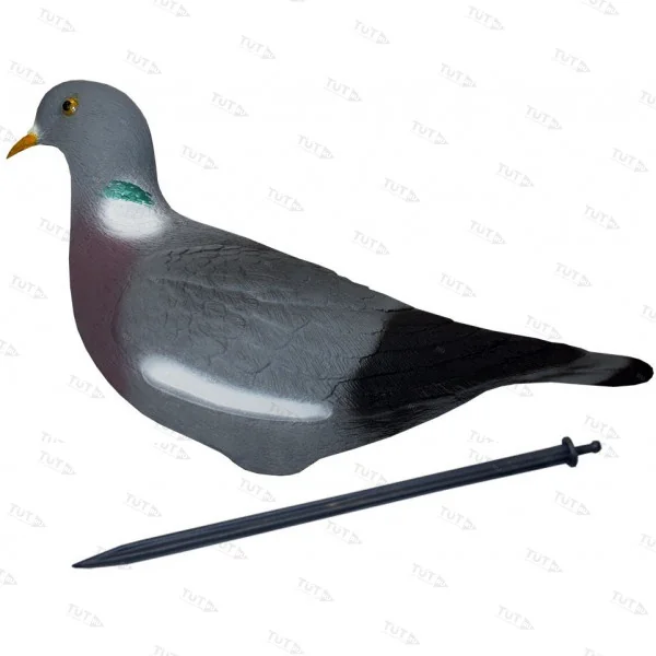 Голубь Sport Plast 26-00 U активный