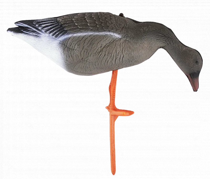 Чучело гуся гуменника складное на опоре