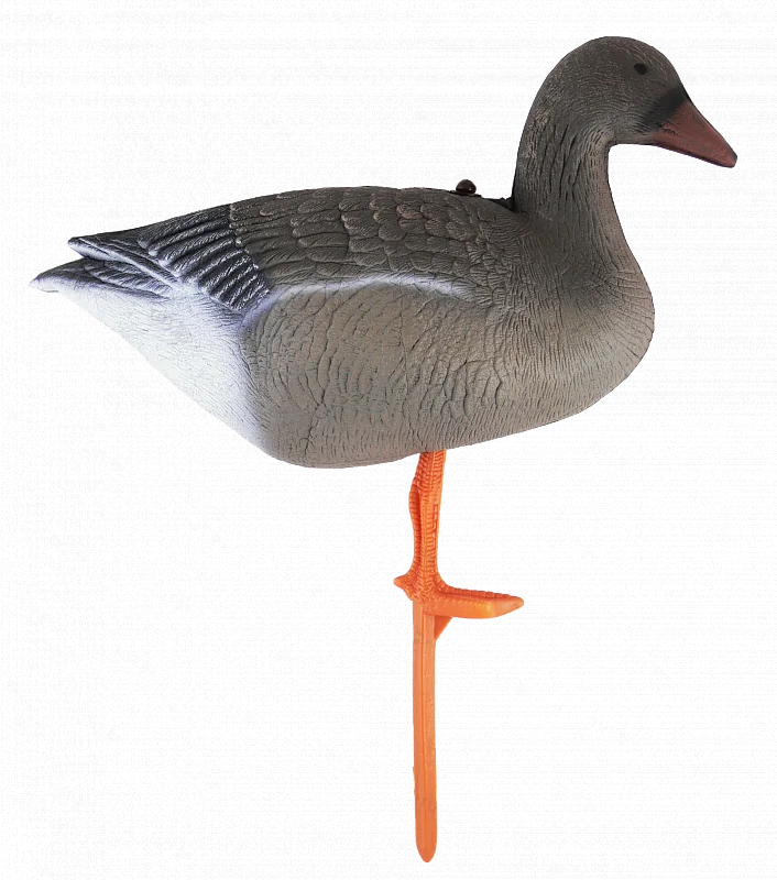 Чучело гуся гуменника складное на опоре