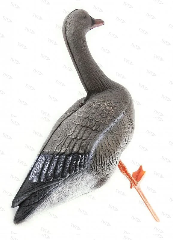 Чучело гуся гуменника складное на опоре