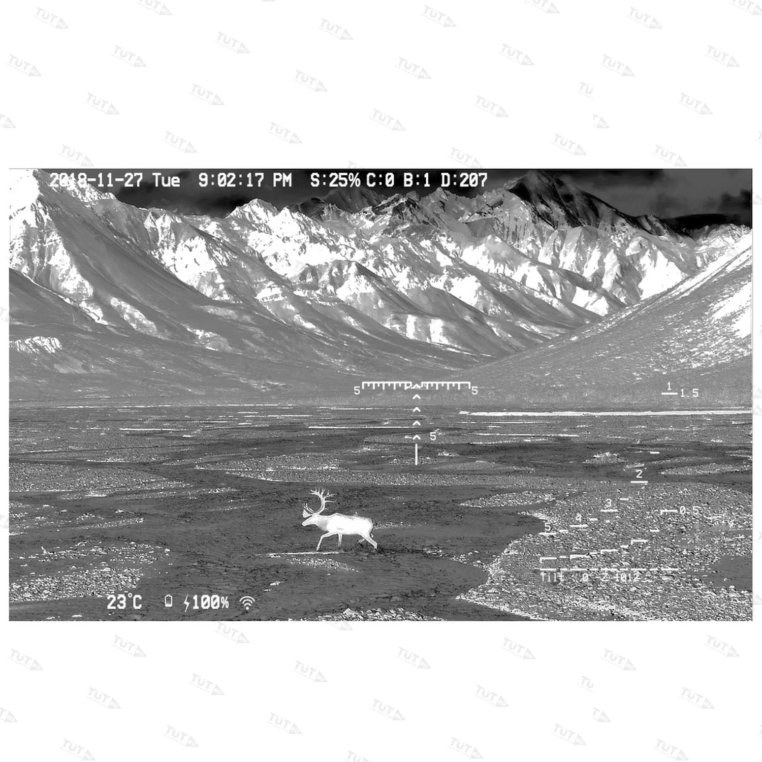 Цифровой прицел Veber DigitalHunt R50X4-8 HD Plus