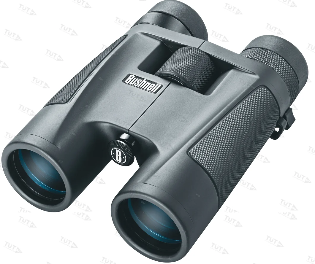 Бинокль Bushnell PowerView ROOF 8-16x40 (1481640)