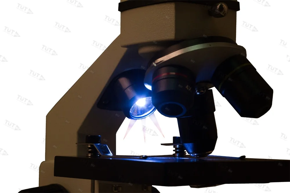 Микроскоп Levenhuk Rainbow 2L PLUS (Аметист)