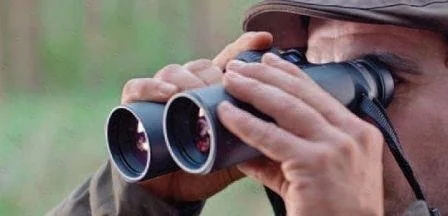 Бинокль Carl Zeiss 10x42 Victory HT