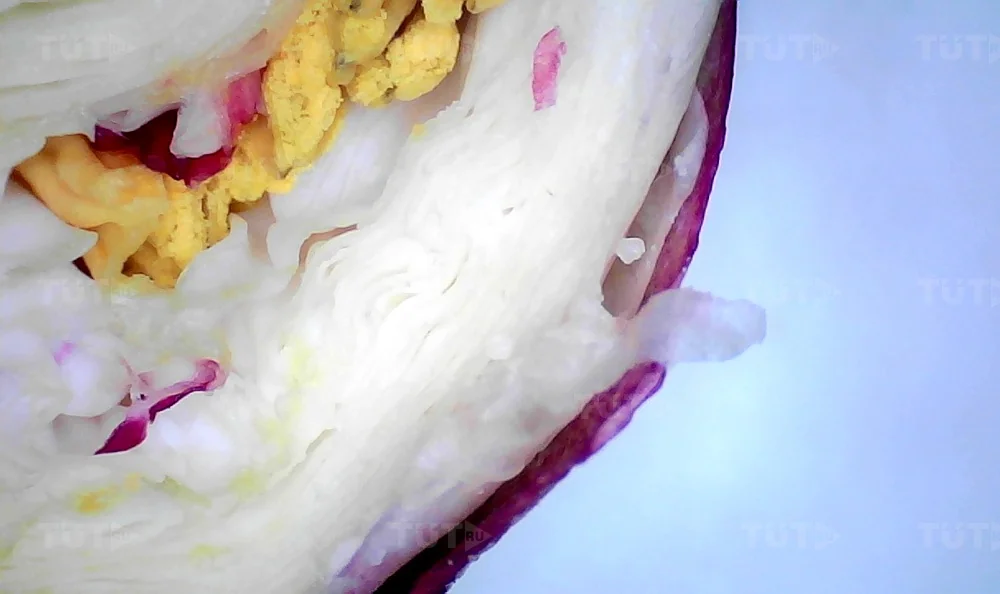 Микроскоп цифровой Levenhuk DTX 720 WiFi