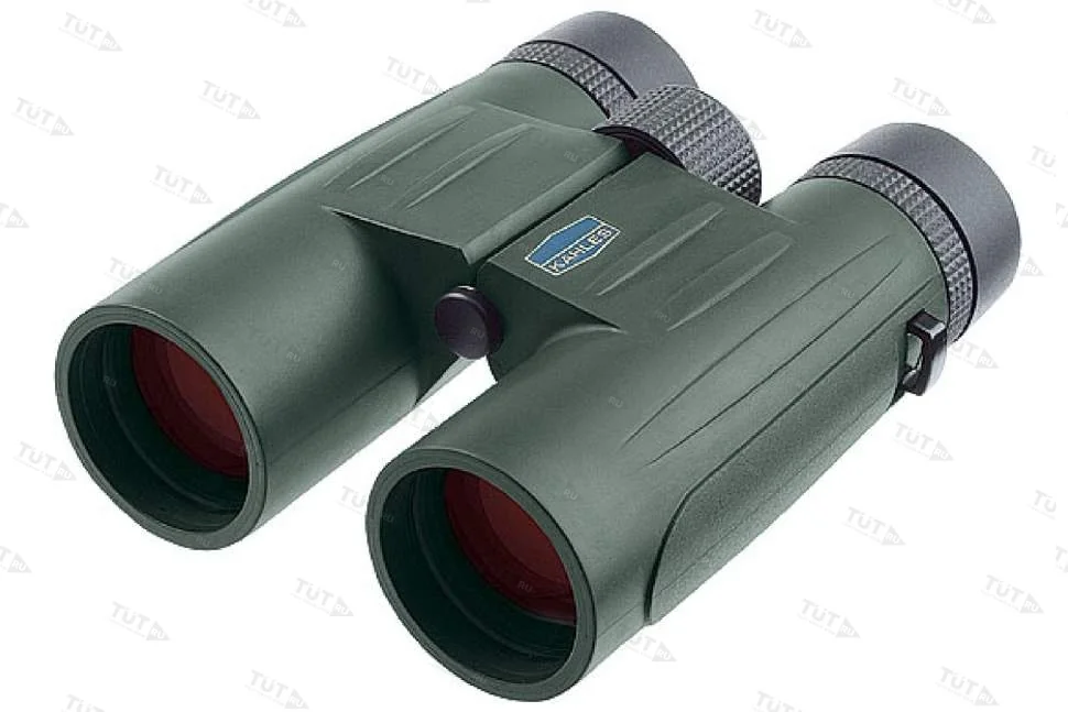 Бинокль Kahles K 8x42, цвет Loden