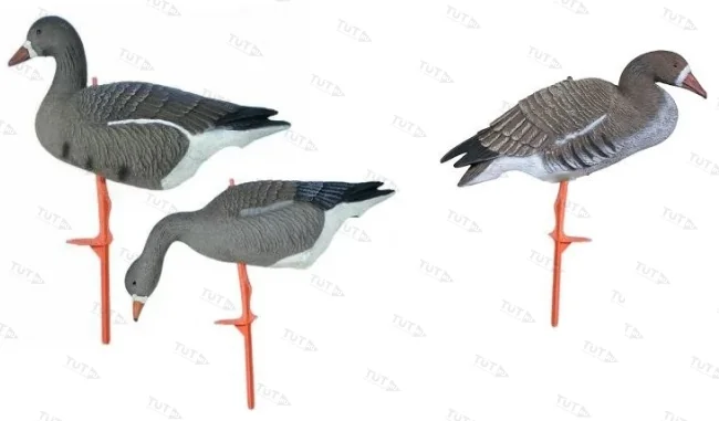 Чучело гуся белолобого на опоре, складн., пластик, комплект - 8корм.2сторож.2отдых., 970гр.