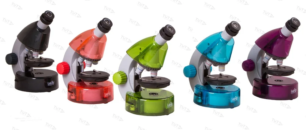 Микроскоп Levenhuk LabZZ M101 (Аметист)