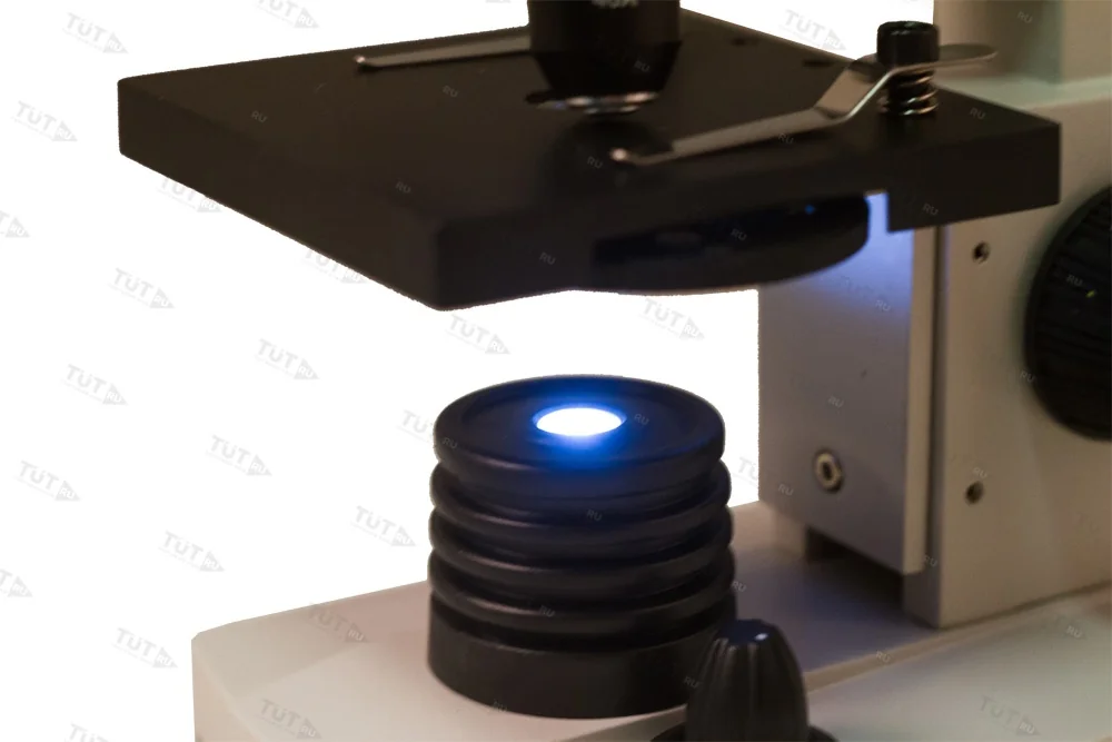 Микроскоп Levenhuk Rainbow 2L PLUS (Аметист)