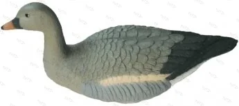 Чучело гуся гуменника плавающего (арт 7351)