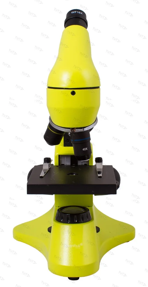 Микроскоп Levenhuk Rainbow 50L PLUS (Лайм)