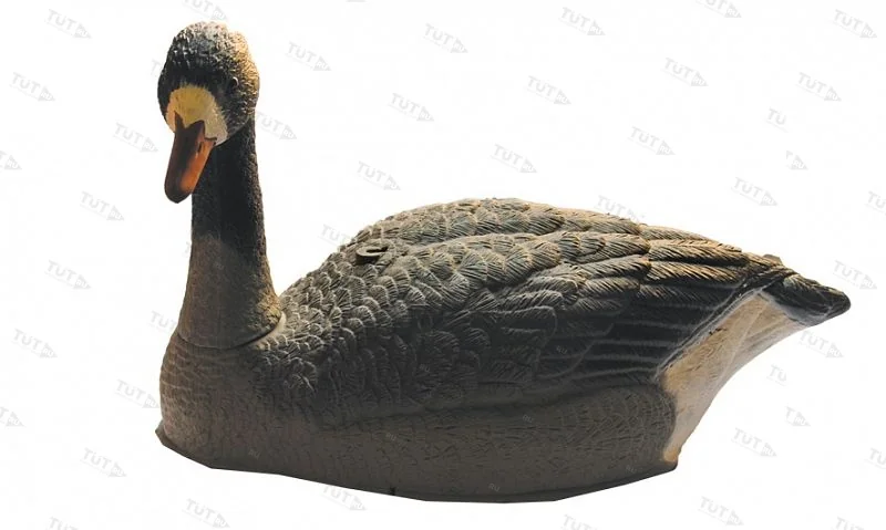 Чучело гуся белолобого сторожевого на опоре (корпус из 2 частей)