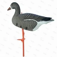 Чучело гуся белолобого на опоре, складн., пластик, комплект - 8корм.2сторож.2отдых., 970гр.