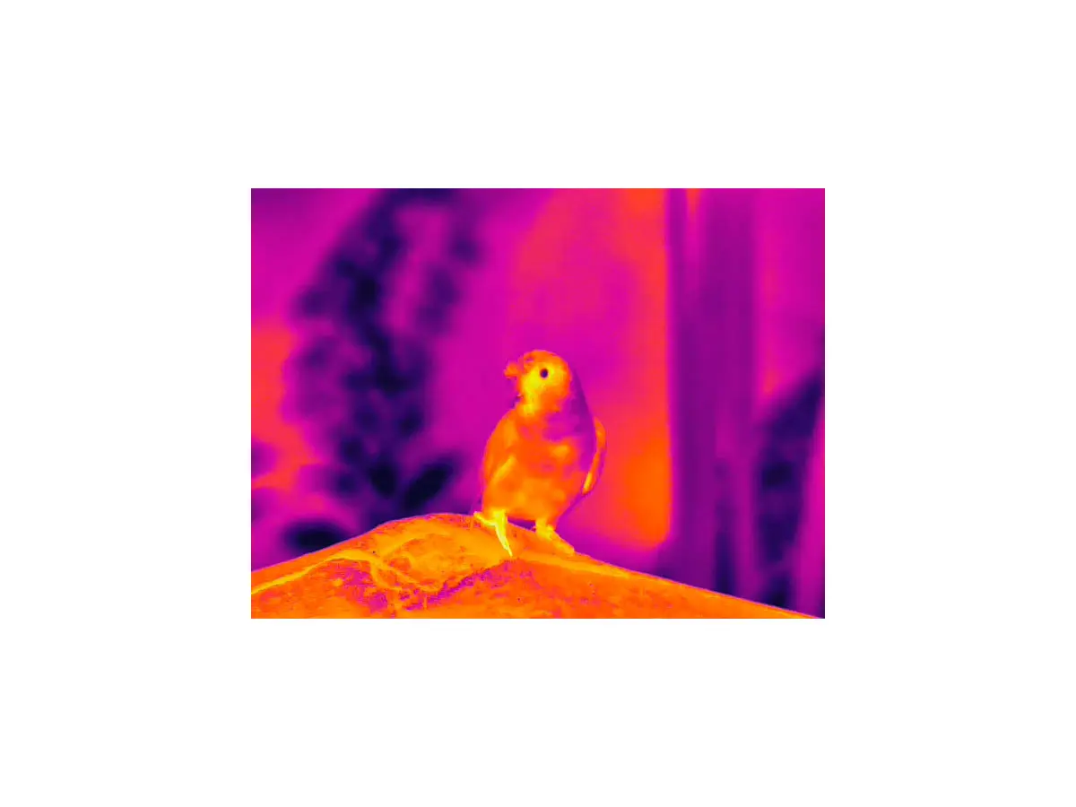 Тепловизионный бинокль Guide TN430 / ГАЙД ТН430