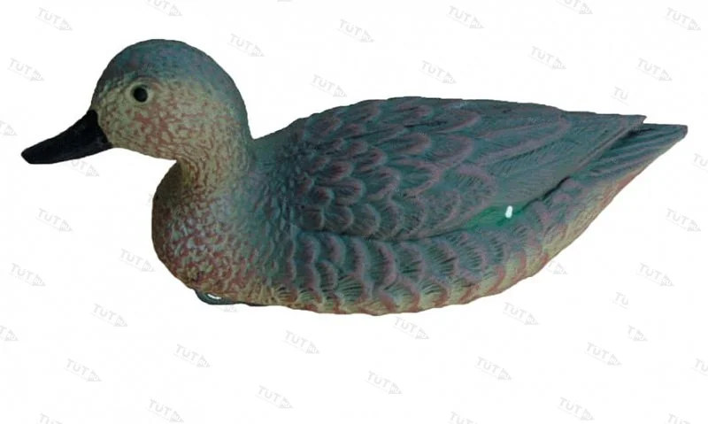 Чучело чирка плавающего (утка)