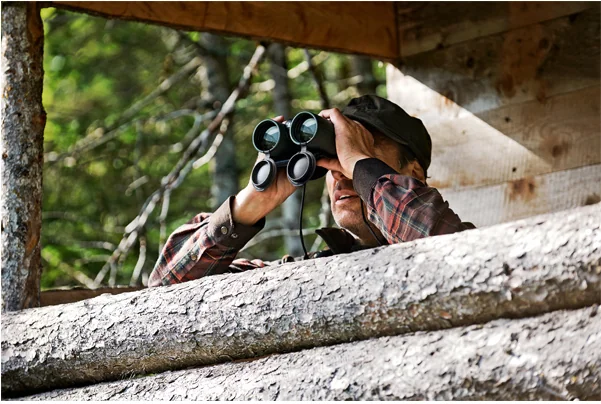 Бинокль Swarovski EL 10x50 Swarovision