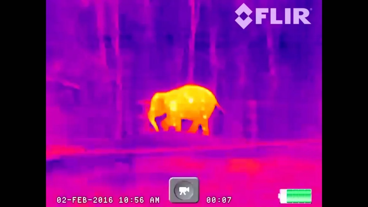 Тепловизионный монокуляр FLIR Scout TK