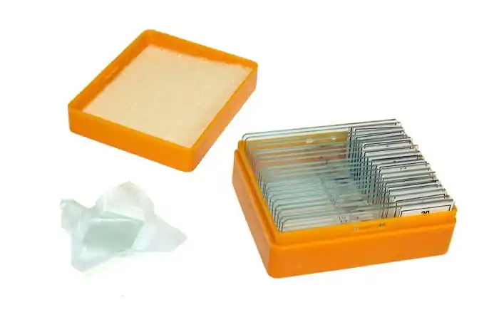 Набор готовых микропрепаратов Levenhuk N20