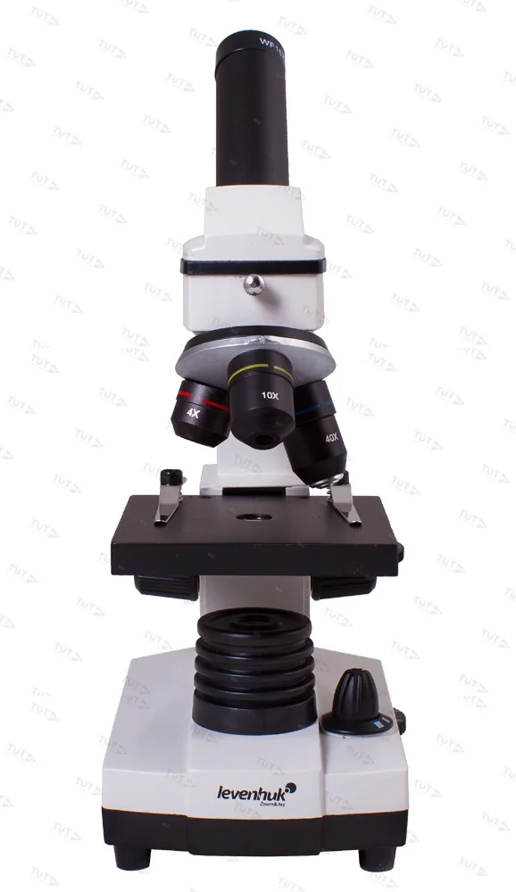 Микроскоп Levenhuk Rainbow 2L PLUS (Аметист)