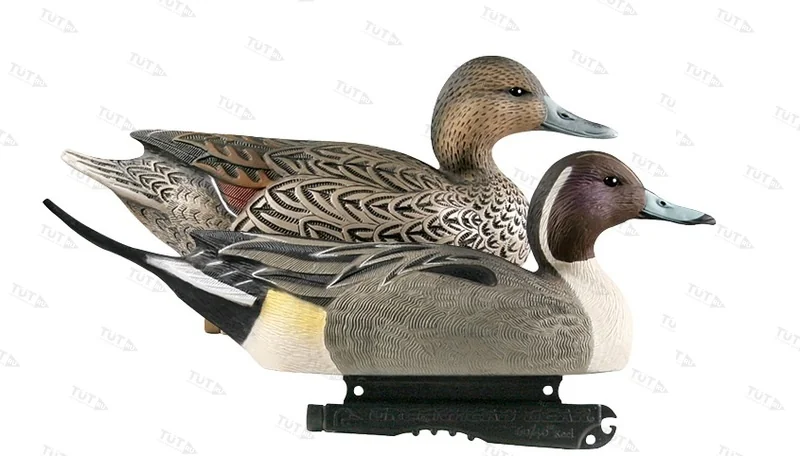 Чучела Greenhead шилохвость Life-Size Pintail Duck Decoys (4 селезня и 2 утки)