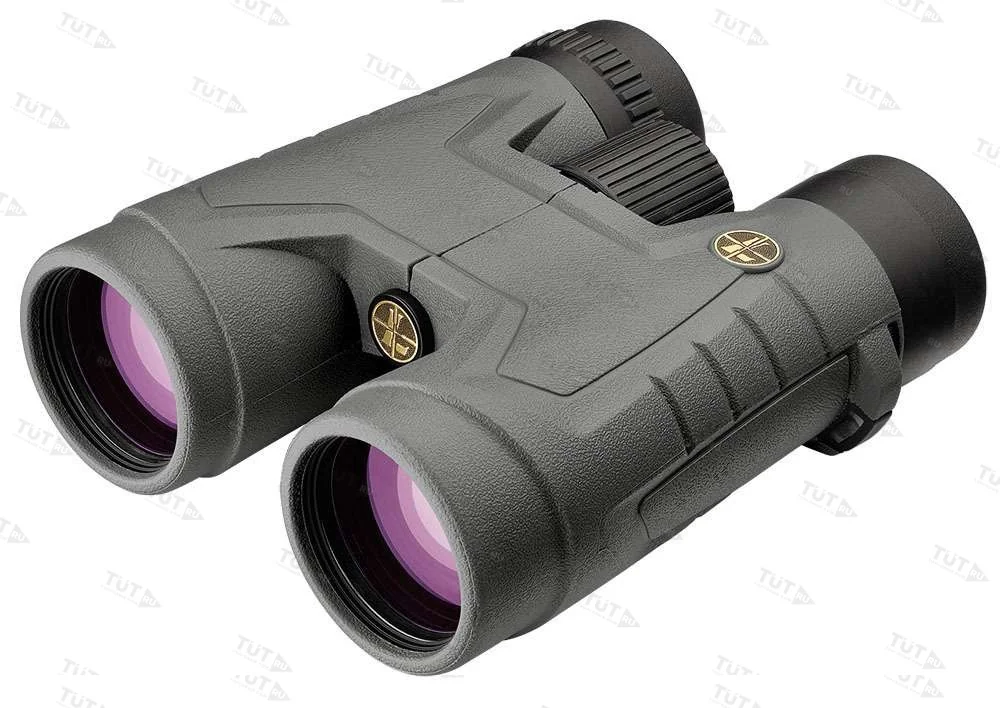 Бинокль Leupold BX-2 Acadia 10x42 Roof Shadow Gray (172700)