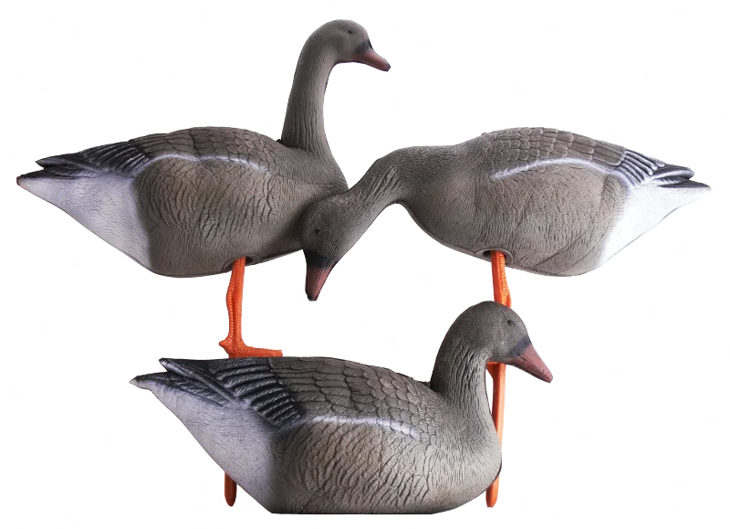 Чучело гуся гуменника складное на опоре