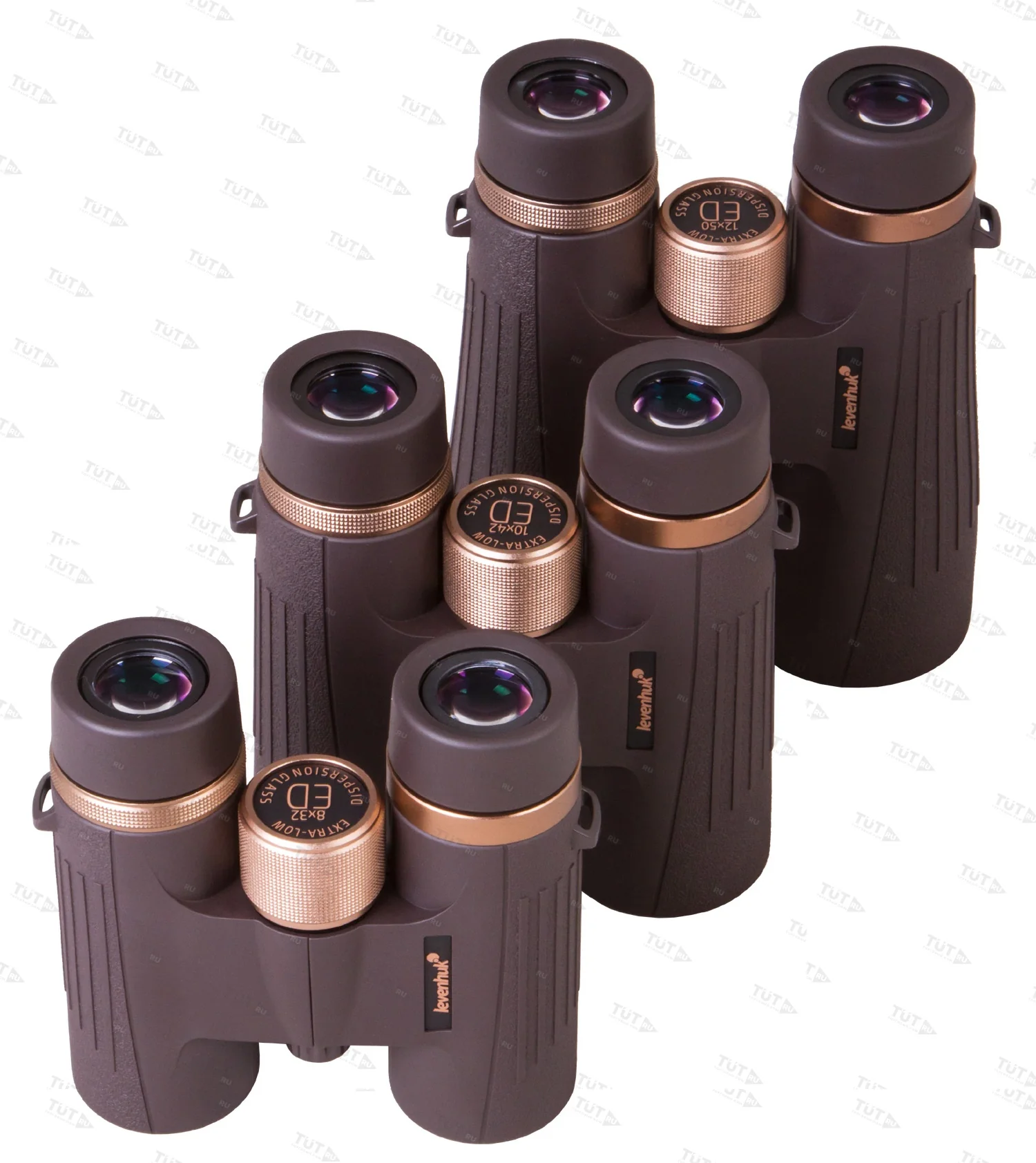 Бинокль Levenhuk Vegas ED 12x50