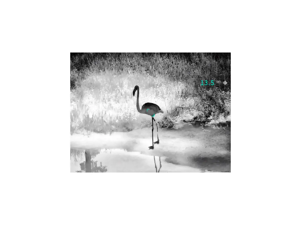 Тепловизионный бинокль Guide TN430 / ГАЙД ТН430