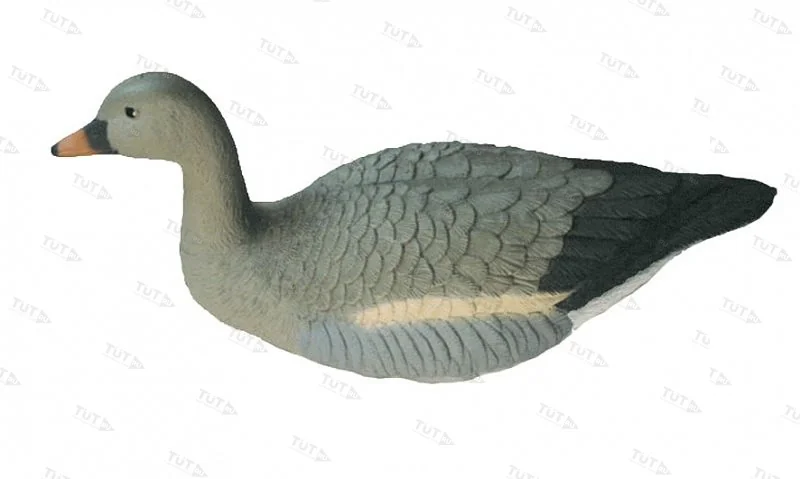 Чучело гуся гуменника плавающего (арт 7351)