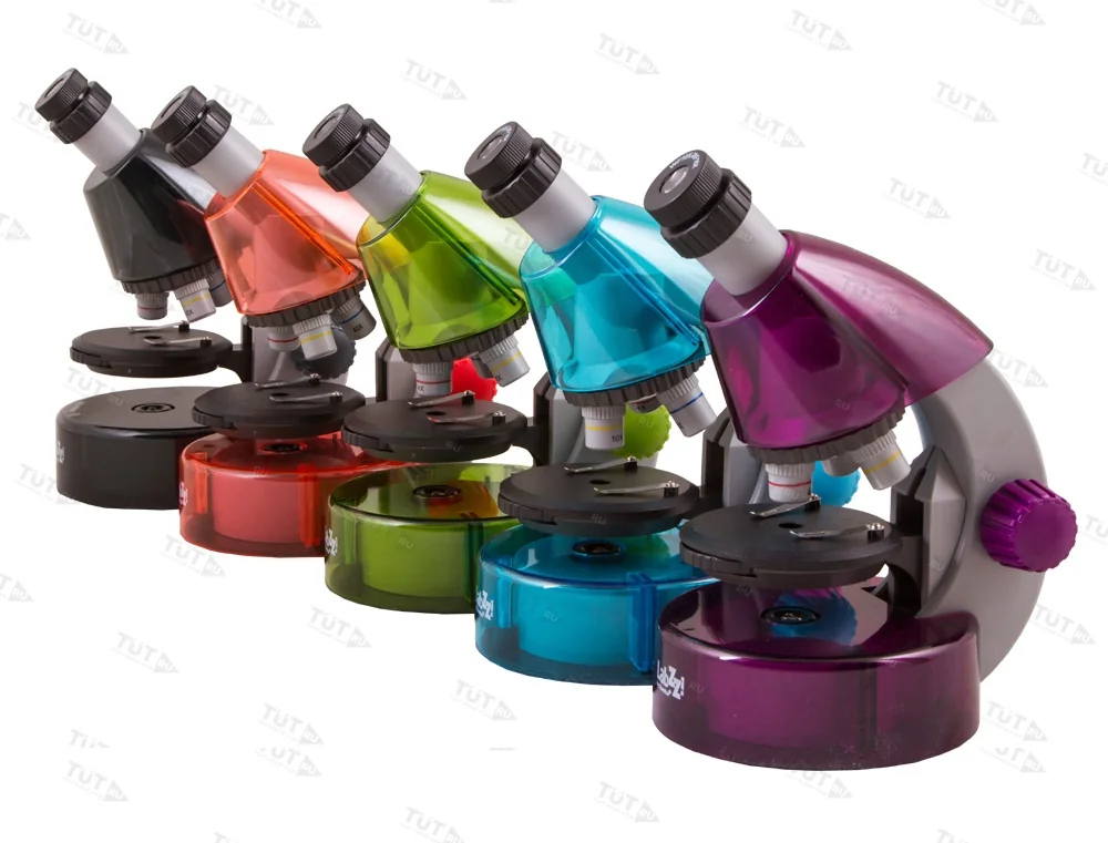 Микроскоп Levenhuk LabZZ M101 (Аметист)