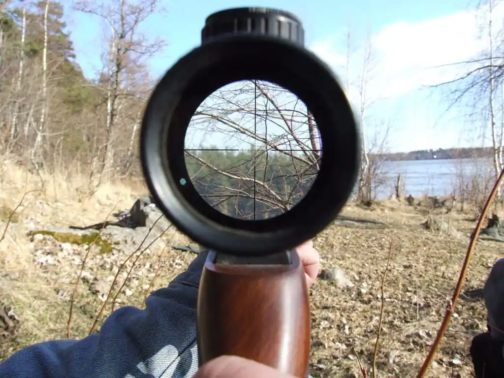 Купить оптический прицел Никко Стирлинг