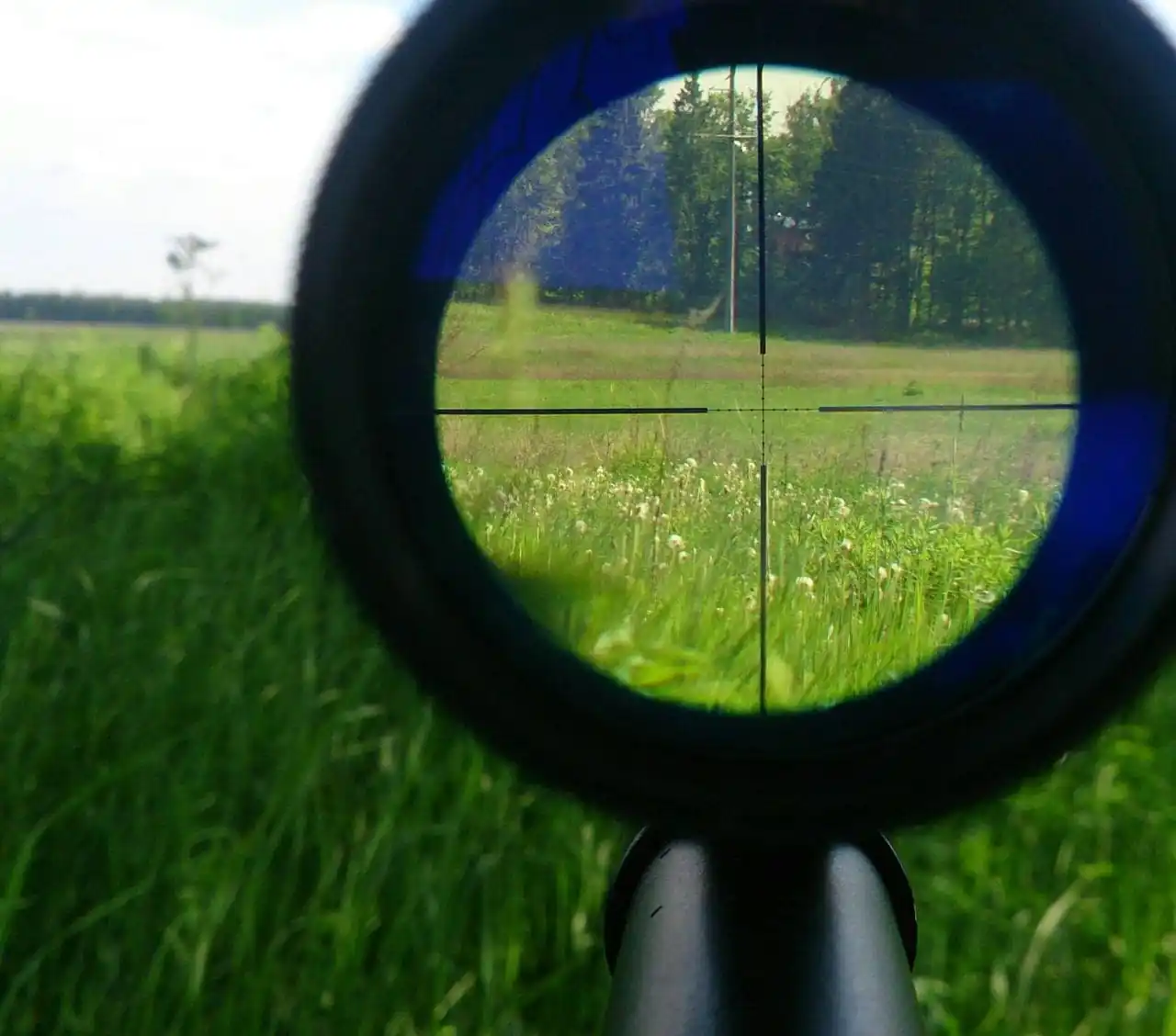 Купить оптический прицел с подсветкой