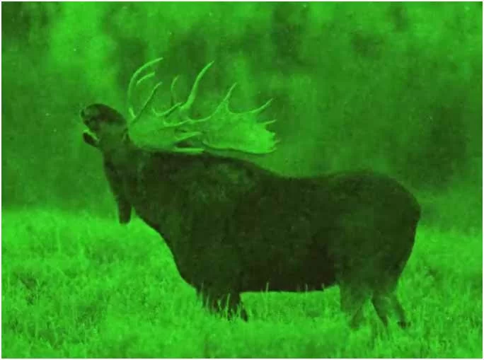 tut-26-01-22-8.jpg tut-26-01-22-8.jpg