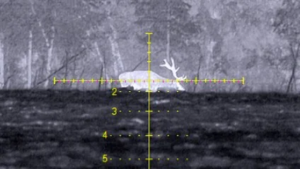 баллистическая сетка.jpg